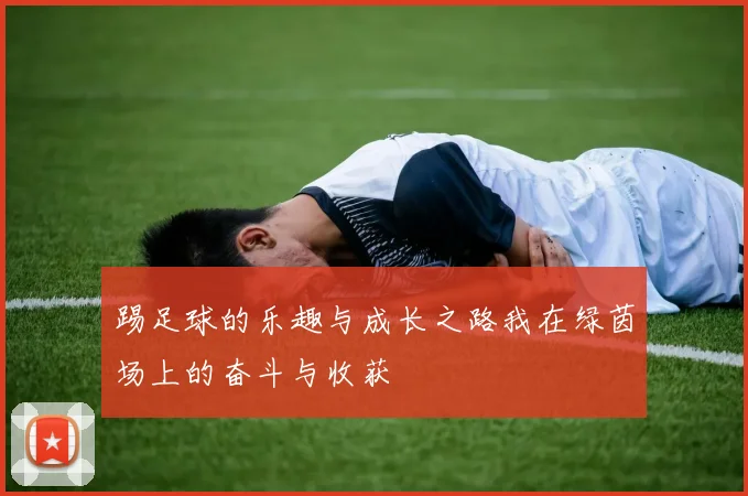 踢足球的乐趣与成长之路我在绿茵场上的奋斗与收获