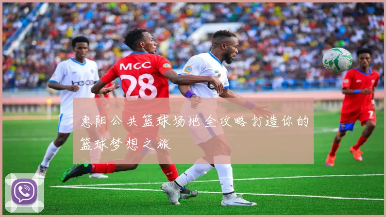 惠阳公共篮球场地全攻略打造你的篮球梦想之旅