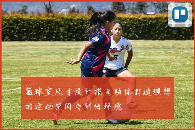 篮球室尺寸设计指南助你打造理想的运动空间与训练环境