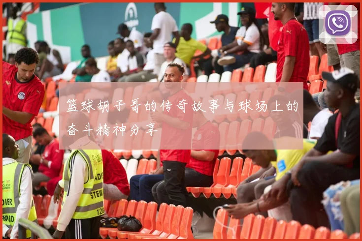 篮球胡子哥的传奇故事与球场上的奋斗精神分享