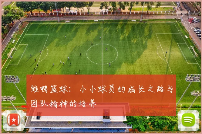雏鸭篮球：小小球员的成长之路与团队精神的培养